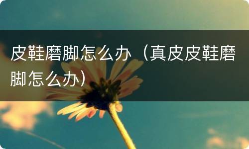 皮鞋磨脚怎么办（真皮皮鞋磨脚怎么办）