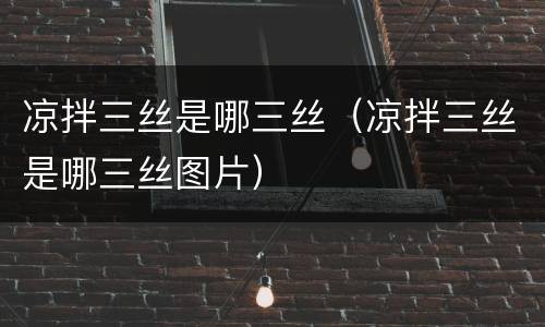 凉拌三丝是哪三丝（凉拌三丝是哪三丝图片）