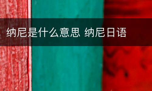 纳尼是什么意思 纳尼日语