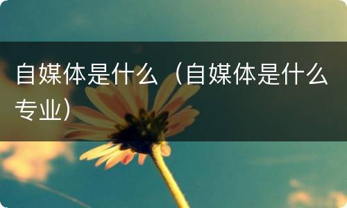 自媒体是什么（自媒体是什么专业）