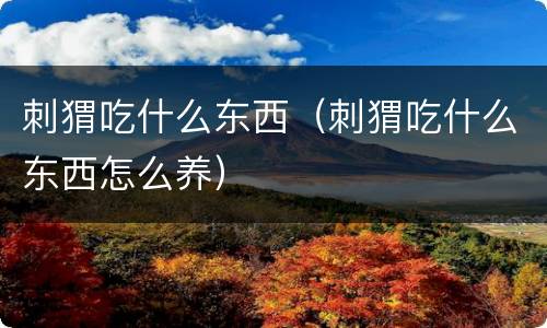 刺猬吃什么东西（刺猬吃什么东西怎么养）