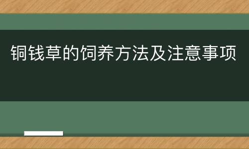 铜钱草的饲养方法及注意事项