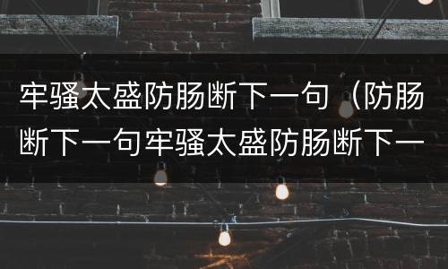 牢骚太盛防肠断下一句（防肠断下一句牢骚太盛防肠断下一句）