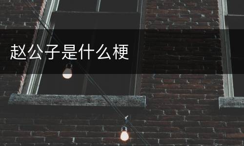 赵公子是什么梗