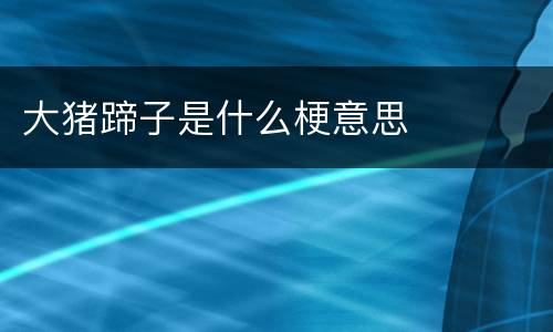 大猪蹄子是什么梗意思