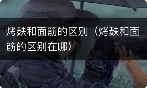 烤麸和面筋的区别（烤麸和面筋的区别在哪）
