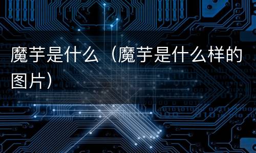 魔芋是什么（魔芋是什么样的图片）