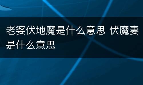 老婆伏地魔是什么意思 伏魔妻是什么意思