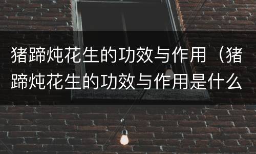 猪蹄炖花生的功效与作用（猪蹄炖花生的功效与作用是什么）