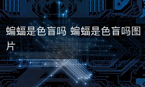 蝙蝠是色盲吗 蝙蝠是色盲吗图片