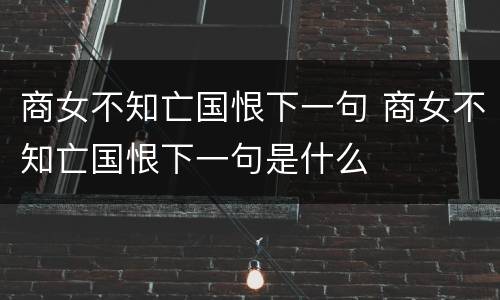 商女不知亡国恨下一句 商女不知亡国恨下一句是什么
