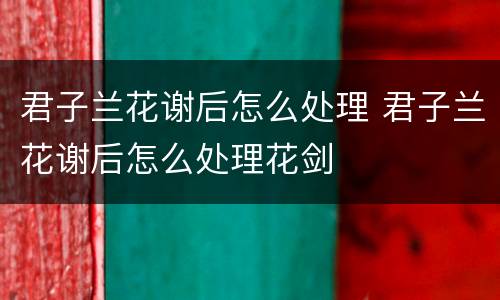 君子兰花谢后怎么处理 君子兰花谢后怎么处理花剑