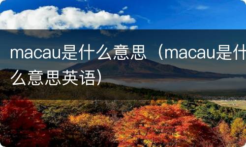 macau是什么意思（macau是什么意思英语）