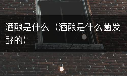 酒酿是什么（酒酿是什么菌发酵的）