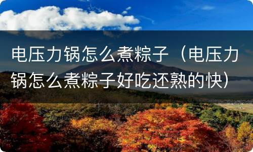 电压力锅怎么煮粽子（电压力锅怎么煮粽子好吃还熟的快）