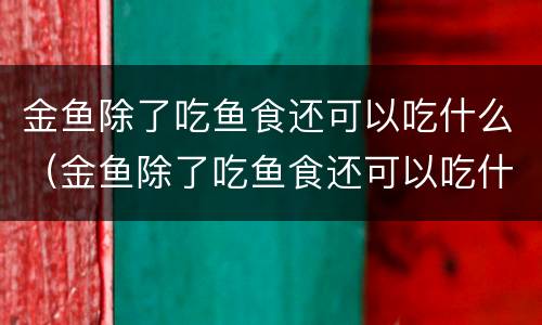 金鱼除了吃鱼食还可以吃什么（金鱼除了吃鱼食还可以吃什么东西）