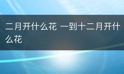 二月开什么花 一到十二月开什么花