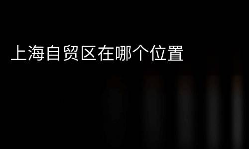 上海自贸区在哪个位置