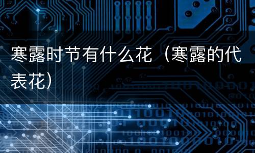 寒露时节有什么花（寒露的代表花）
