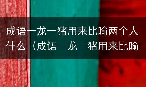 成语一龙一猪用来比喻两个人什么（成语一龙一猪用来比喻两个人的什么）
