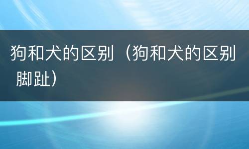 狗和犬的区别（狗和犬的区别 脚趾）