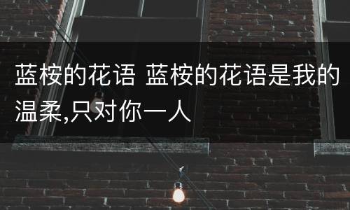 蓝桉的花语 蓝桉的花语是我的温柔,只对你一人