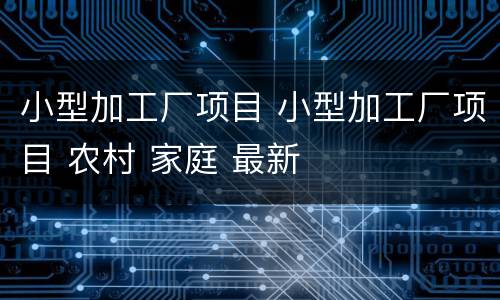 小型加工厂项目 小型加工厂项目 农村 家庭 最新