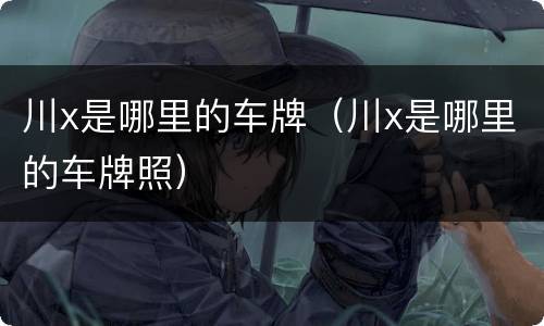 川x是哪里的车牌（川x是哪里的车牌照）