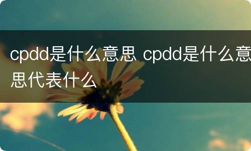 cpdd是什么意思 cpdd是什么意思代表什么