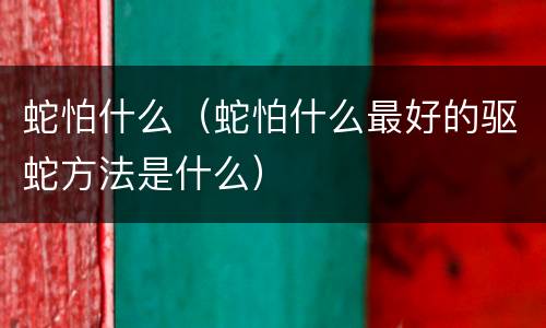 蛇怕什么（蛇怕什么最好的驱蛇方法是什么）
