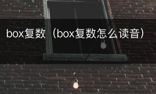box复数（box复数怎么读音）