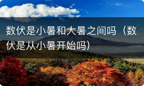 数伏是小暑和大暑之间吗（数伏是从小暑开始吗）