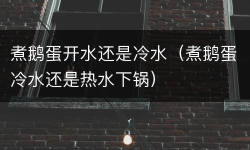 煮鹅蛋开水还是冷水（煮鹅蛋冷水还是热水下锅）