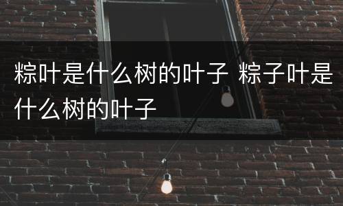 粽叶是什么树的叶子 粽子叶是什么树的叶子
