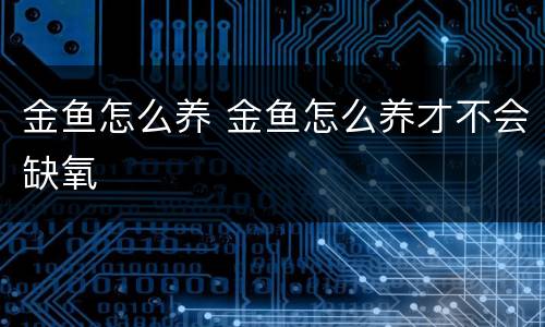 金鱼怎么养 金鱼怎么养才不会缺氧