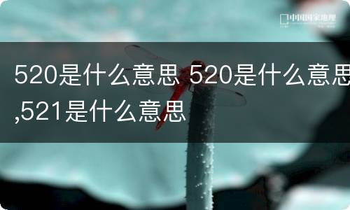 520是什么意思 520是什么意思,521是什么意思