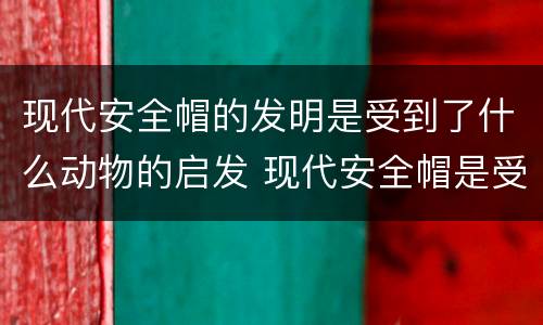 现代安全帽的发明是受到了什么动物的启发 现代安全帽是受到什么动物的启发