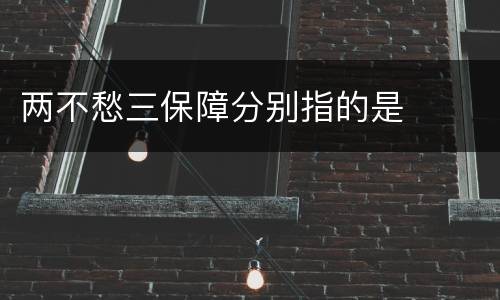 两不愁三保障分别指的是
