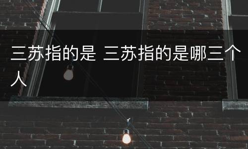 三苏指的是 三苏指的是哪三个人