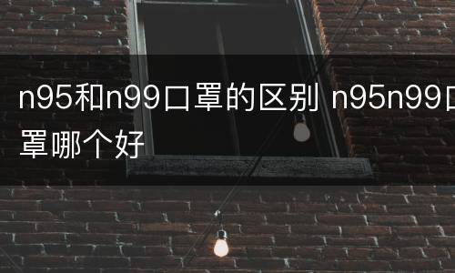 n95和n99口罩的区别 n95n99口罩哪个好