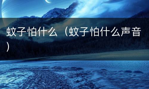 蚊子怕什么（蚊子怕什么声音）