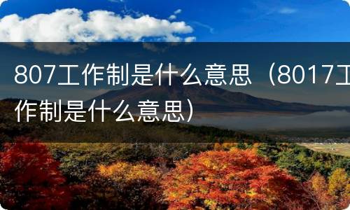 807工作制是什么意思（8017工作制是什么意思）