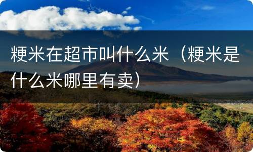 粳米在超市叫什么米（粳米是什么米哪里有卖）