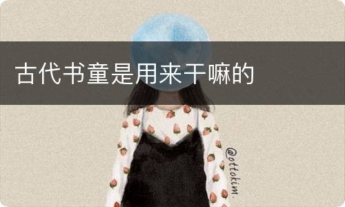 古代书童是用来干嘛的