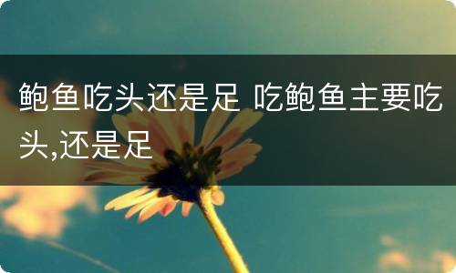 鲍鱼吃头还是足 吃鲍鱼主要吃头,还是足