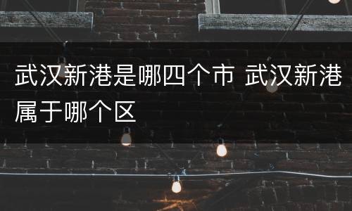 武汉新港是哪四个市 武汉新港属于哪个区