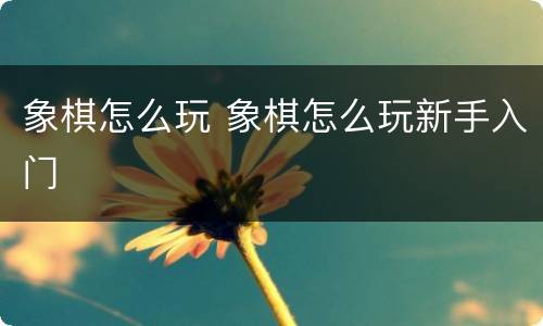 象棋怎么玩 象棋怎么玩新手入门