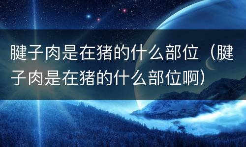 腱子肉是在猪的什么部位（腱子肉是在猪的什么部位啊）