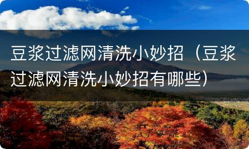 豆浆过滤网清洗小妙招（豆浆过滤网清洗小妙招有哪些）