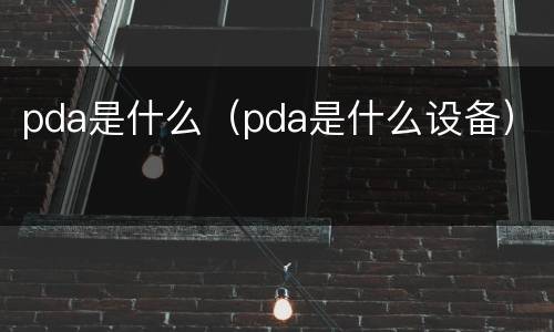 pda是什么（pda是什么设备）